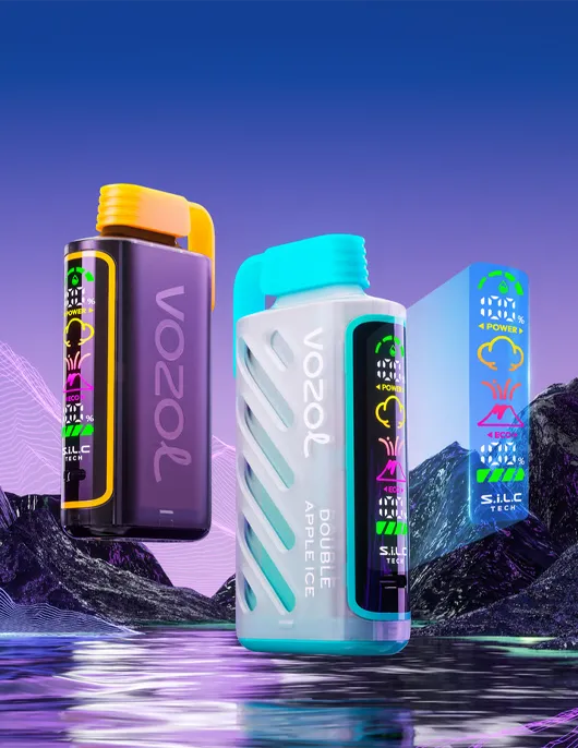 VOZOL GEAR POWER 20000